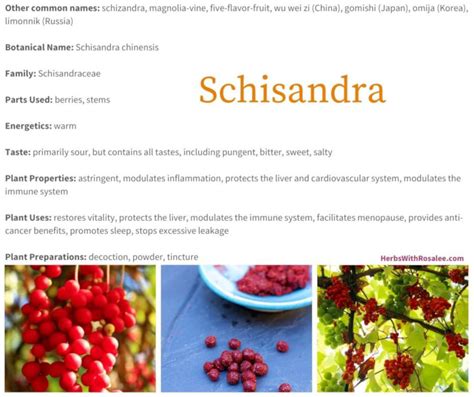 Schisandra Efectos Secundarios