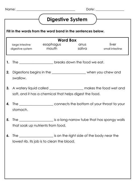 Scholastic 4th Grade Science Worksheets Nc 4th Grade Science Worksheet - Nc 4th Grade Science Worksheet