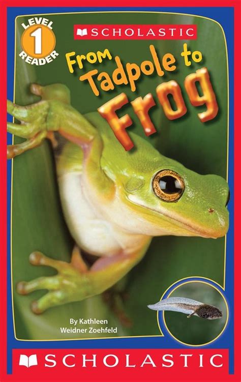 Read Online Scholastic Reader Level 1 From Tadpole To Frog 