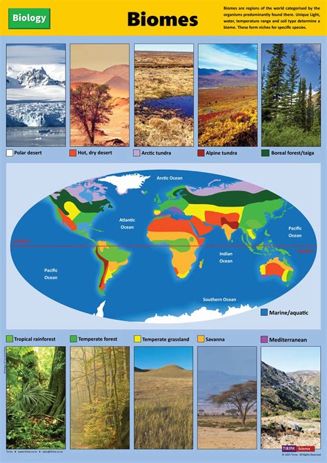 School And Science The Earth Biomes Rainforests Category Rainforest Science - Rainforest Science
