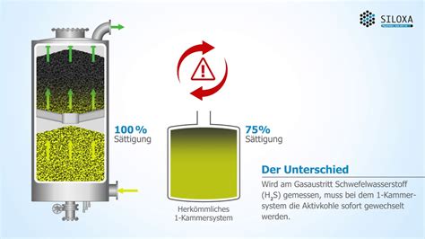 schwefelwasserstoffintoxikation - German