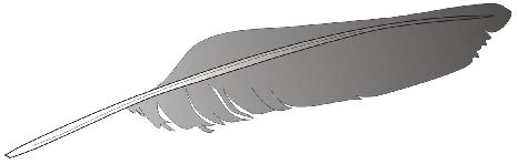 schwungfeder