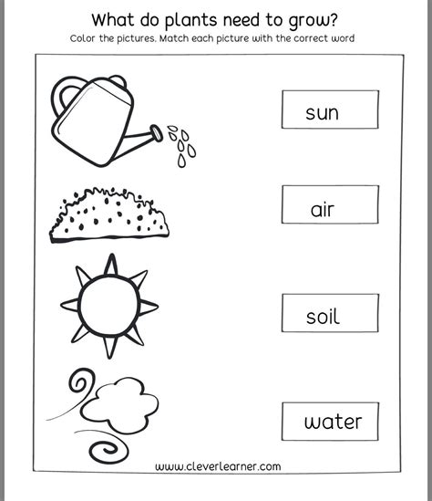 Science 1st Grade Worksheets   1st Grade Science Worksheets Word Lists And Activities - Science 1st Grade Worksheets