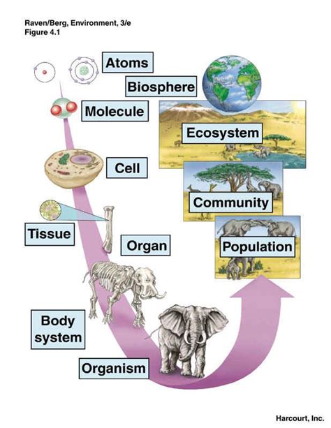 Science 2 9 9 Organisms And Environments Teks Teks 2nd Grade Science - Teks 2nd Grade Science