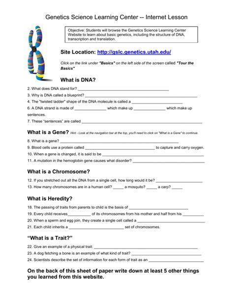 Science 6 Quot B Quot Genes Chromosomes And Chromosomes And Heredity Worksheet Answers - Chromosomes And Heredity Worksheet Answers