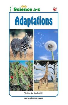 Science A Z Adaptations Grades 5 6 Life Science Adaptation Worksheet 5 Grade - Science Adaptation Worksheet 5 Grade