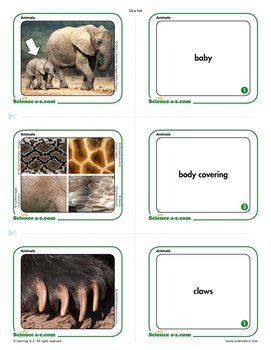 Science A Z Game Packs Fun Science Vocabulary Science Vocabulary Words For Kids - Science Vocabulary Words For Kids