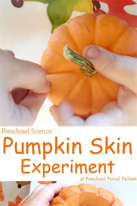 Science Activity Pumpkin Investigations Pumpkin Science Activities - Pumpkin Science Activities