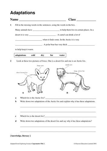 Science Adaptation Worksheet 5 Grade   Adaptation Worksheets Free Printables Slamboresources - Science Adaptation Worksheet 5 Grade