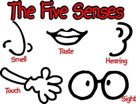 Science And Common Sense Senses Science - Senses Science