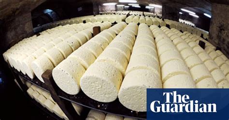 Science And Magic Of Cheesemaking Science The Guardian Science Cheese - Science Cheese