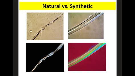 Science And Technology Of Hair Fibers Springerlink Hair Color Science - Hair Color Science
