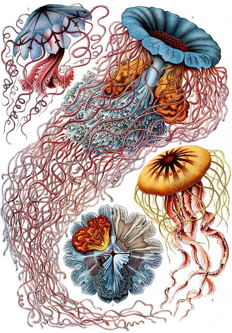 Science Art Scientific Illustrations And Artworks Cognitive Surplus Science Art Prints - Science Art Prints