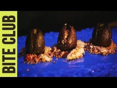 science based - How to check what is edible on an alien world ...