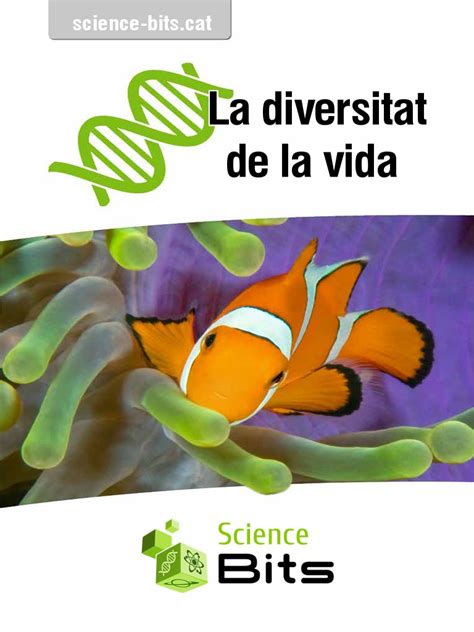 Science Bits Catala