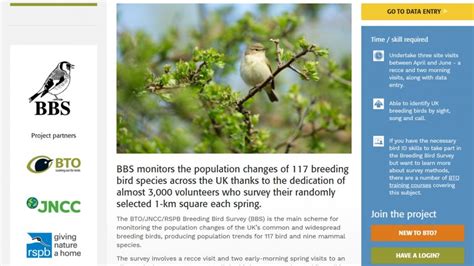 Science Blog Misstao Com Bird Science Experiments - Bird Science Experiments