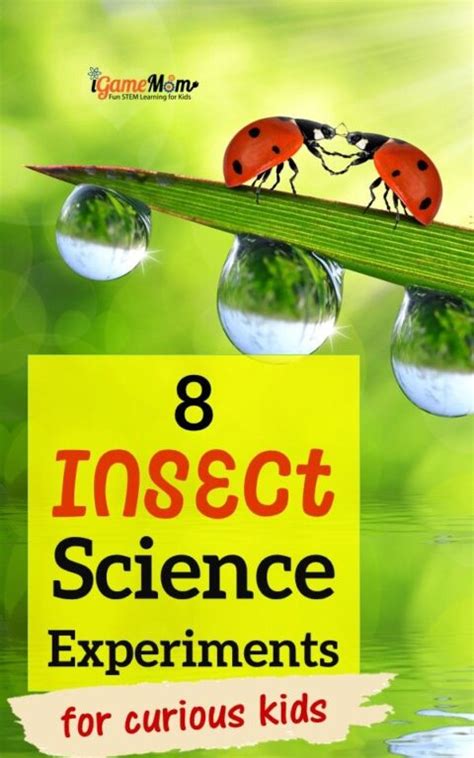 Science Bug Science Bug - Science Bug