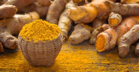 Science Confirms Turmeric As Effective As 14 Drugs Science Effect - Science Effect