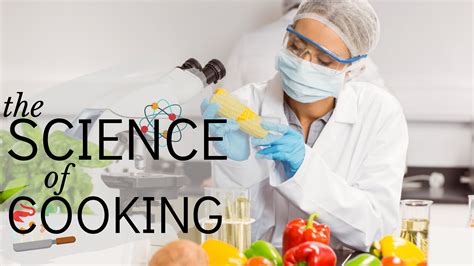  Science Cook - Science Cook