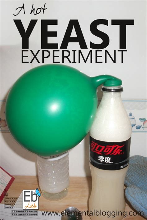 Science Corner A Hot Yeast Experiment Yeast Science Experiment - Yeast Science Experiment