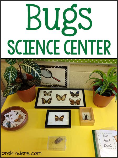 Science Corner Bug Eat Bug World Emerging Scholars Bug Science - Bug Science