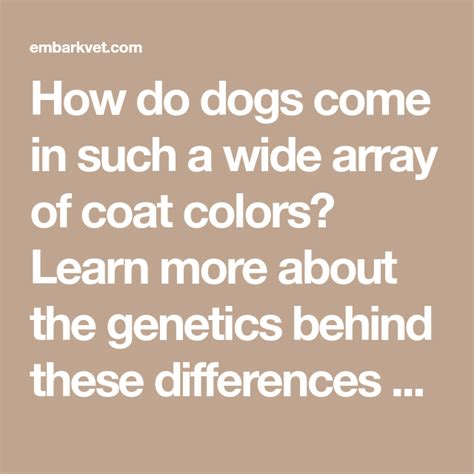 Science Corner Coat Color Genetics 101 Embarkvet Science Coat - Science Coat