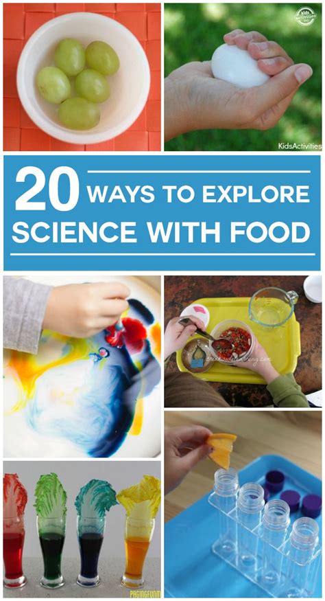 Science Experiment With Food   Food Science 52 Experiments To Introduce You To - Science Experiment With Food