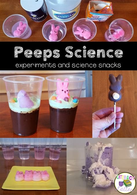Science Experiments For 1st Grade Archives Homeschool Den 1st Grade Science Experiment Ideas - 1st Grade Science Experiment Ideas