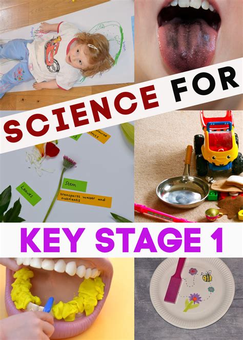 Science Experiments For Key Stage 1 Science Sparks Science Investigation Ideas - Science Investigation Ideas