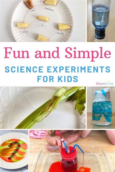 Science Experiments For Kids Mombrite Science Experiment For Child - Science Experiment For Child