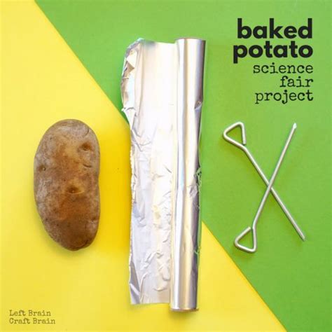 Science Experiments My Twice Baked Potato Potato Science Experiment - Potato Science Experiment