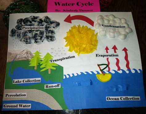 Science Experiments The Water Cycle 5th Grade Science Water Cycle - 5th Grade Science Water Cycle