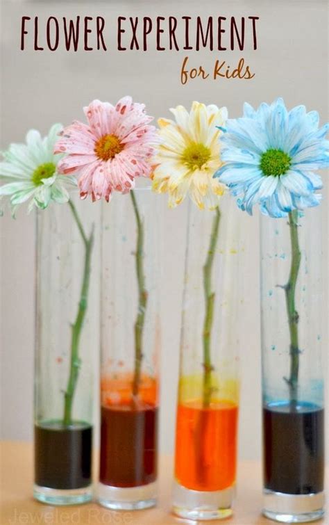 Science Experiments With Flowers   70 Easy Science Experiments Using Materials You Already - Science Experiments With Flowers