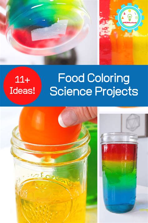 Science Experiments With Food Coloring   Amazing Food Coloring Flower Science Experiment W Free - Science Experiments With Food Coloring