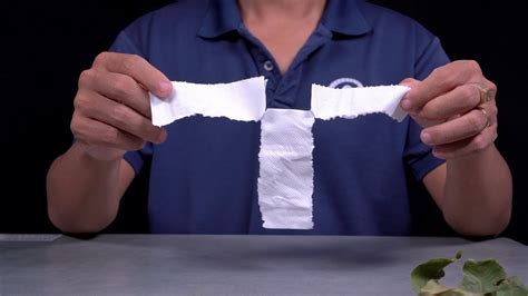 Science Experiments With Toilet Paper Smart Family Money Science Experiment With Paper - Science Experiment With Paper