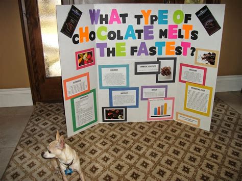 Science Fair Project Which Chocolate Melts Faster Science Experiments With Chocolate - Science Experiments With Chocolate