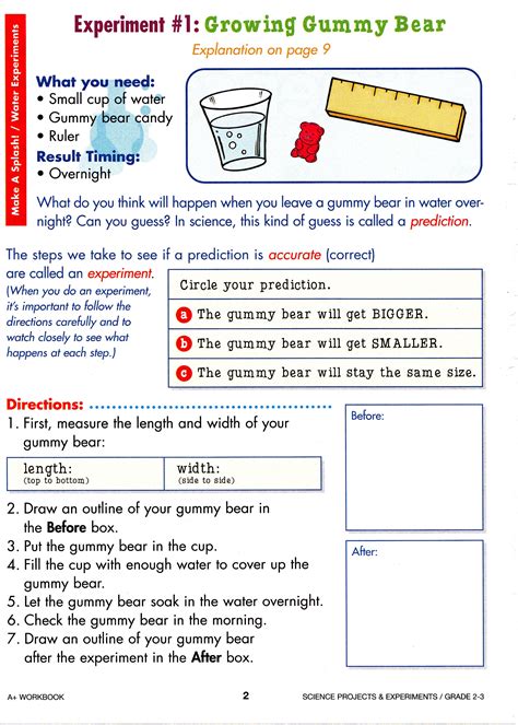 Science For 3rd Graders   14 Fun And Engaging Science Fair Projects For - Science For 3rd Graders