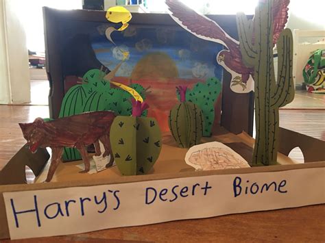 Science For Kids Desert Biome Ducksters Desert Science Experiments - Desert Science Experiments