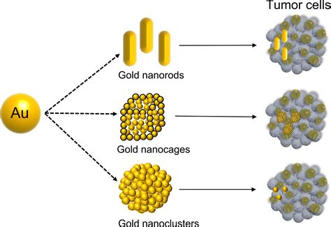 Science Germs   Sugar Coated Gold Nanoparticles Can Quickly Eliminate Bacterial - Science Germs