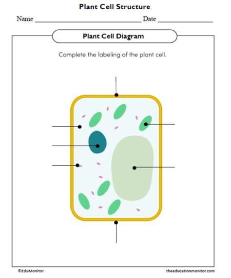 Science Grade 4 Edumonitor Plant Cell Parts 5th Grade - Plant Cell Parts 5th Grade