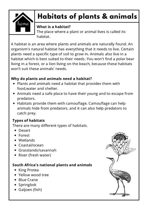 Science Grade 4 Part 2 Pages 1 50 Grade 4 Science Textbook - Grade 4 Science Textbook