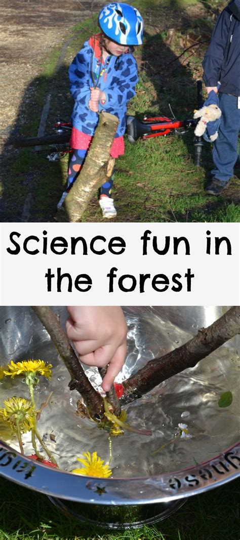 Science In The Forest Outdoor Science For Kids Outdoor Science Activities For Kids - Outdoor Science Activities For Kids