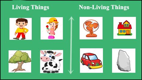 Science Living And Nonliving Things   Living Things And Nonliving Things Kirkus Reviews - Science Living And Nonliving Things