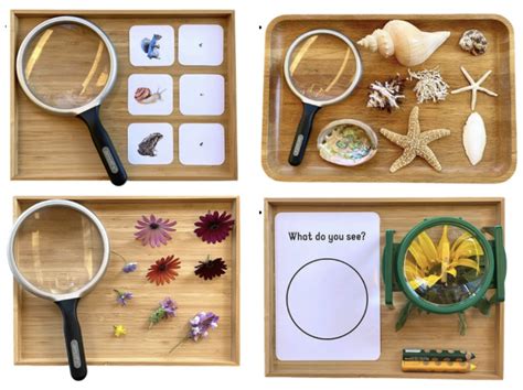 Science Magnifying Glass Activity For Preschoolers Science Magnifier - Science Magnifier