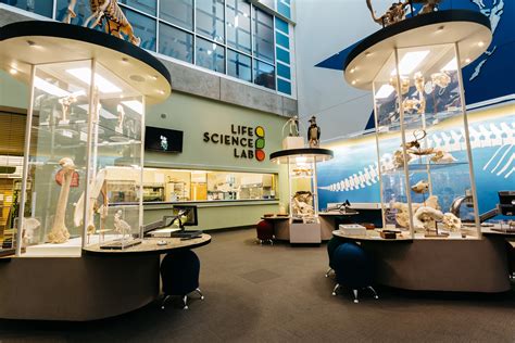 Science Museum Extends The Lab To Include 6th 6th Grade Science Lab - 6th Grade Science Lab