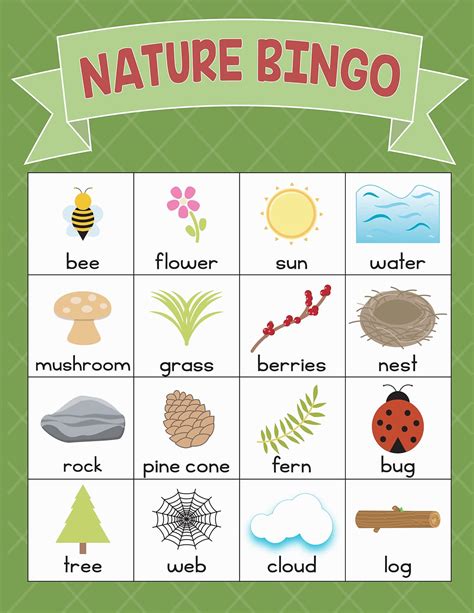 Science Nature And Seasonal Bingo Games Uncommon Courtesy Science Seasons - Science Seasons