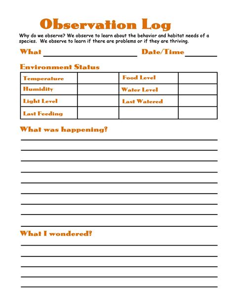 Science Observation Activities   Free Science Observation Worksheets And Templates Storyboard That - Science Observation Activities
