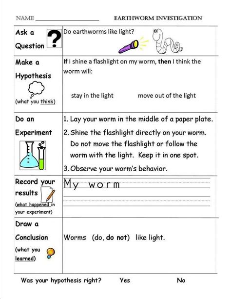 Science Observation Activity   Science Observation Skill Builders Index The First Step - Science Observation Activity