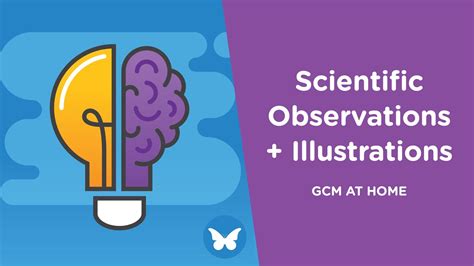 Science Observe Making Scientific Observations Gr 5 Science Observation Activities - Science Observation Activities