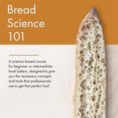 Science Of Bread Bread Science 101 Exploratorium Bread Science - Bread Science